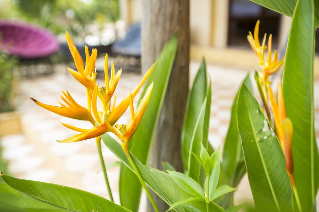 Champa Lodge Kampot Exteriör bild