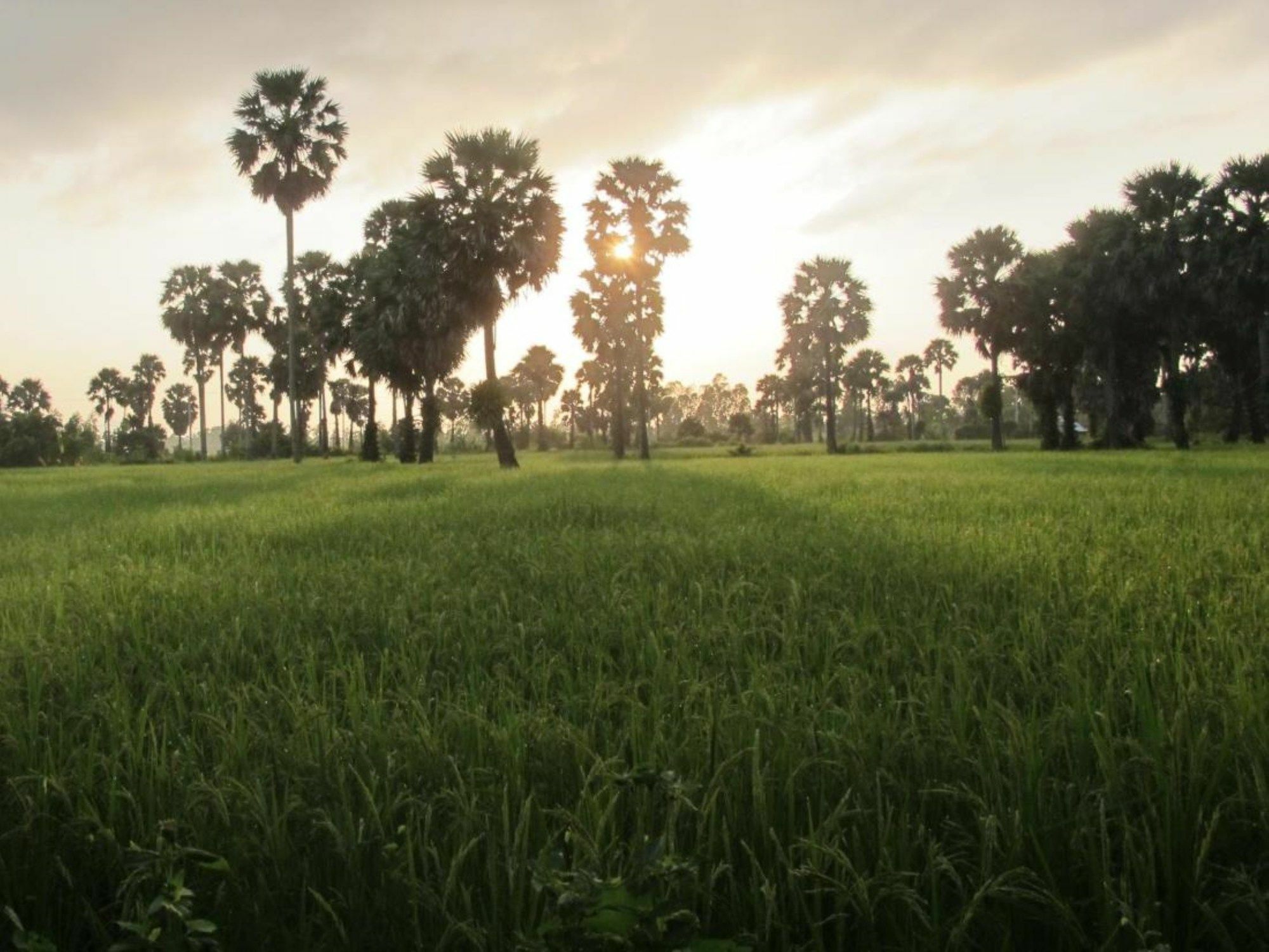 Champa Lodge Kampot Exteriör bild